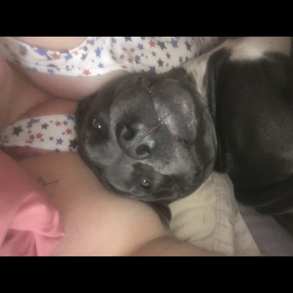 Meet your Posher, Kristy